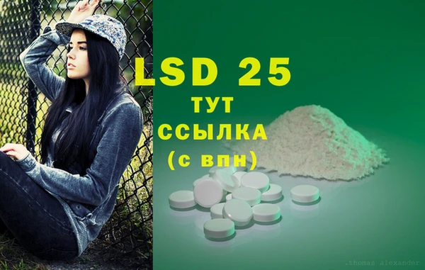 дживик Вяземский