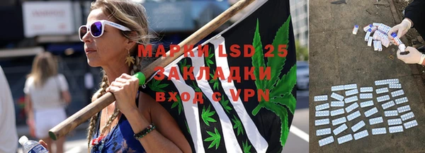 дживик Вяземский